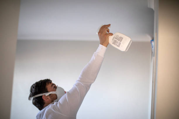  Monrovia, IN Mold Removal Pros