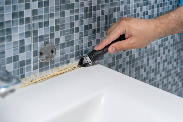 Best Affordable Mold Removal  in Monrovia, IN