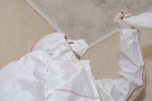Best Mold Cleaning Services  in Monrovia, IN